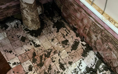 Assèchement suite à une inondation, Var