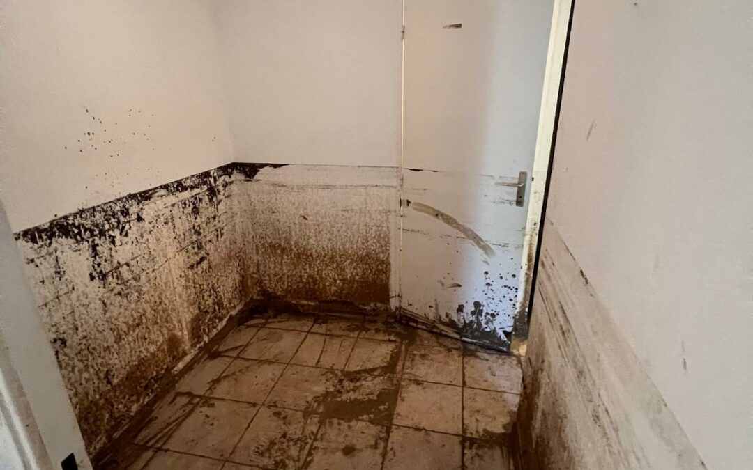 Décontamination et assainissement après inondation , Marseille