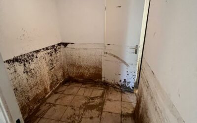 Décontamination et assainissement après inondation , Marseille