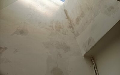 Chantier en hauteur : rénovation complète des murs et puits de lumière