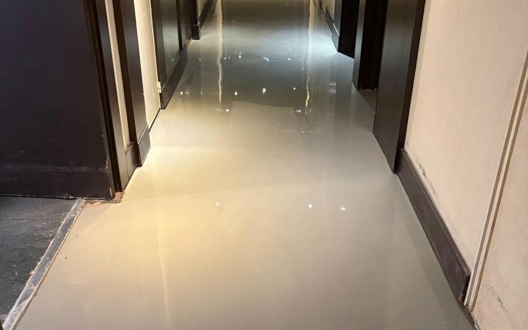 🏨 Rénovation dans un hôtel prestigieux !